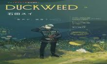 DUCKWEED