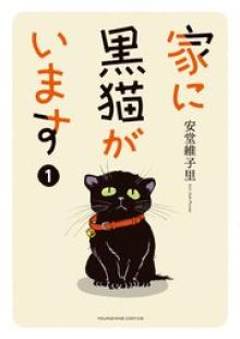 家に黒猫がいます