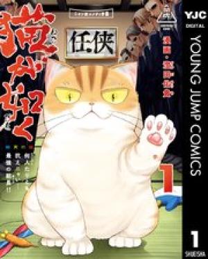 猫が如く