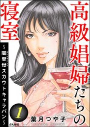 高級娼婦たちの寝室 ~闇聖母スカウトキャラバン~ 高級娼婦たちの寝室 ~闇聖母スカウトキャラバン~
