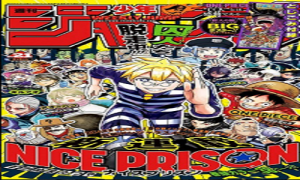 ナイスプリゾン