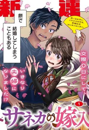 サネカの嫁入り サネカの嫁入り
