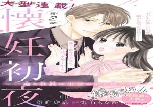 懐妊初夜~一途な社長は求愛の手を緩めない~ 懐妊初夜~一途な社長は求愛の手を緩めない~