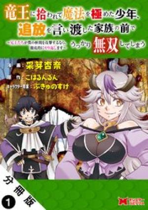 竜王に拾われて魔法を極めた少年、追放を言い渡した家族の前でうっかり無双してしまう~兄上たちが僕の仲間を攻撃するなら、徹底的にやり返します~ 竜王に拾われて魔法を極めた少年、追放を言い渡した家族の前でうっかり無双してしまう~兄上たちが僕の仲間を攻撃するなら、徹底的にやり返します~