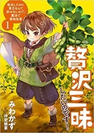 贅沢三昧したいのです! 転生したのに貧乏なんて許せないので、魔法で領地改革 贅沢三昧したいのです! 転生したのに貧乏なんて許せないので、魔法で領地改革