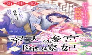 翠天後宮の降嫁妃　～その妃、寵愛を競わず平凡を望む～